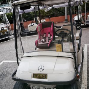 baby in golf cart