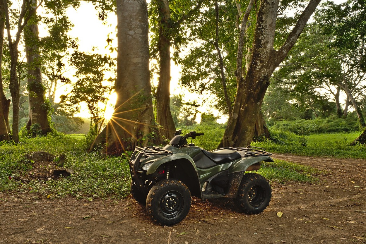 ATV at forest