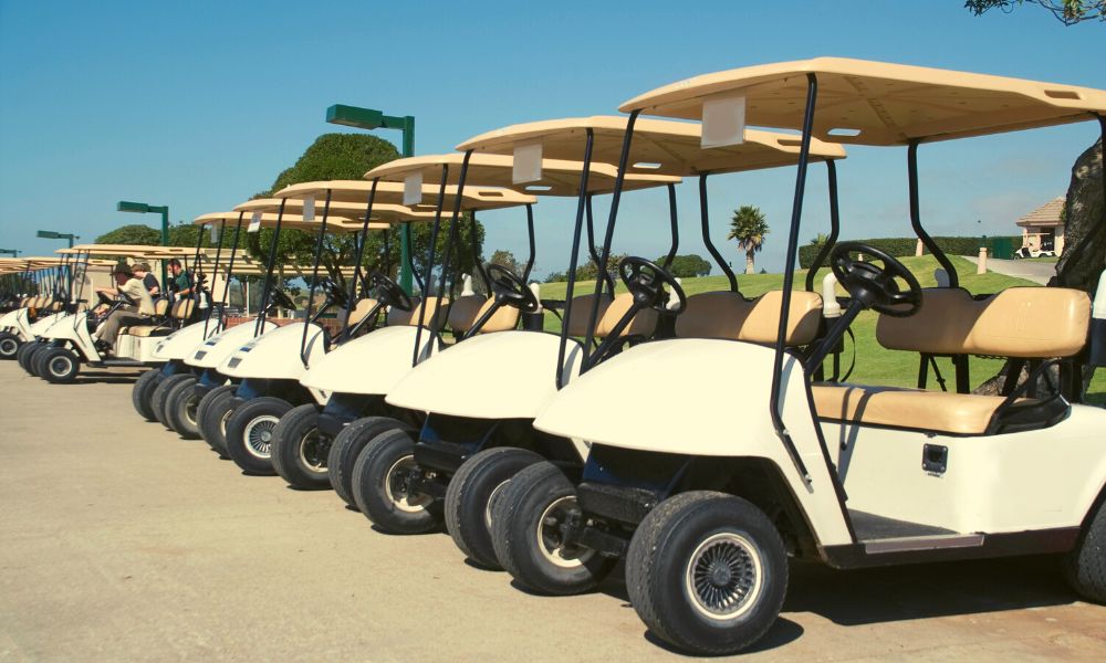 Weather Conditions Can Affect The Cart's Battery Charge