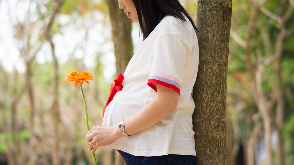 Pregnant mom holding a flower with her back on a tree trunk.